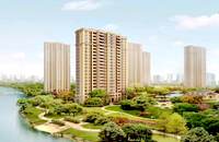 南頭村委統建樓-麒麟學府四棟花園房，精裝修家電，拎包入住